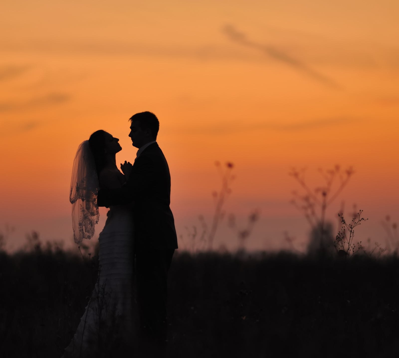 Couple silhouetted in the meadow at sunset